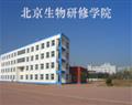 相关文章
