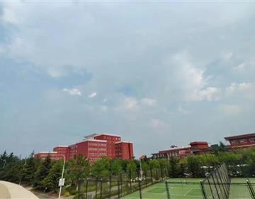地址：德州