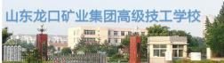 专业展示